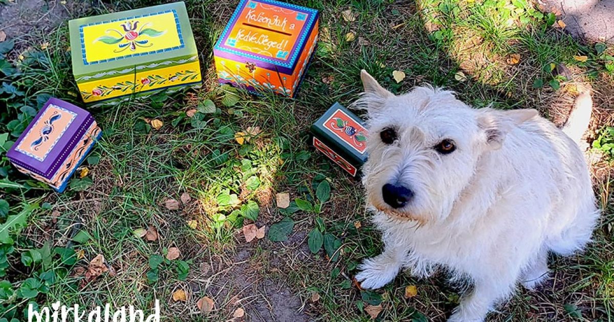 gyomber a dobozokkal